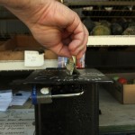 Farm Store Plans