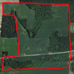 Future Farm? – Pine Island