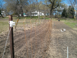 garden2